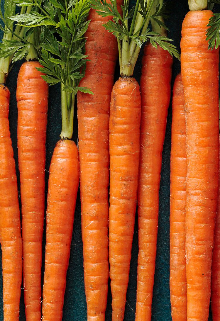 Carrot