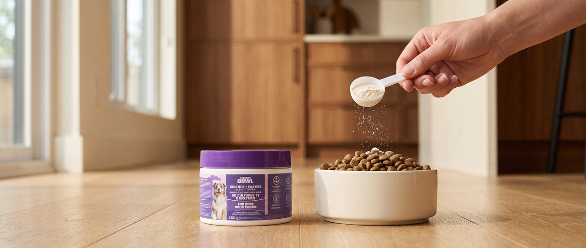 Culture and Enzyme Blend Meal Topper