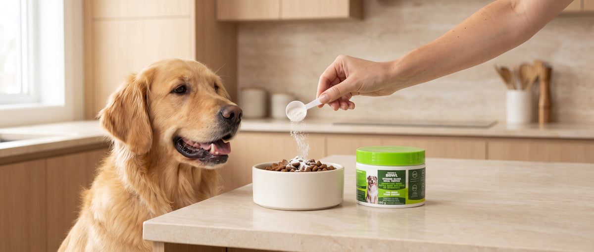 Vitamin Blend Meal Topper