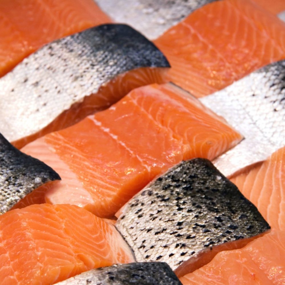 Salmon Oil