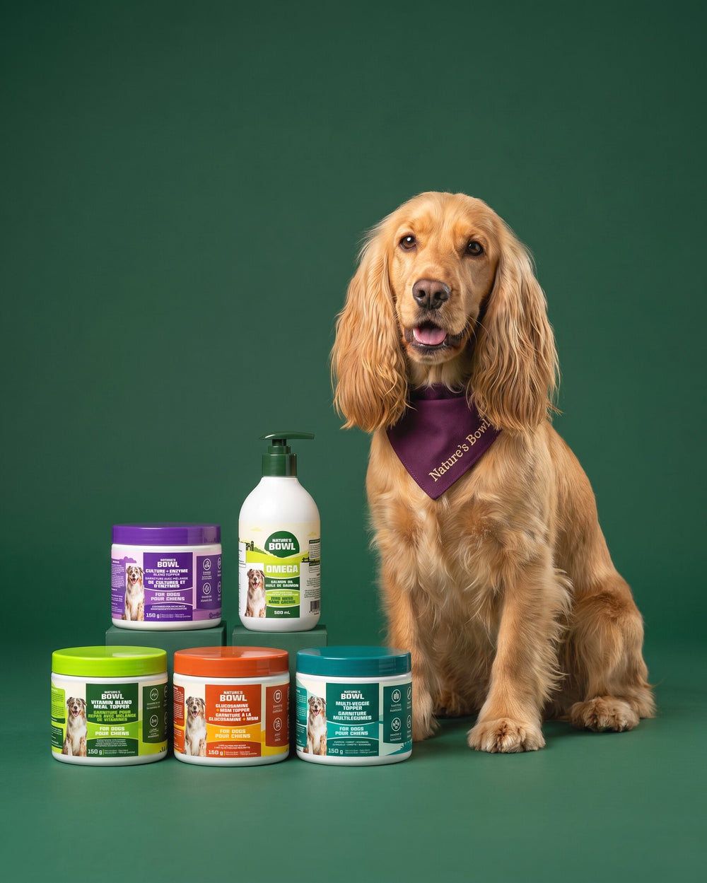 Nature’s Bowl formulas with a cocker spaniel