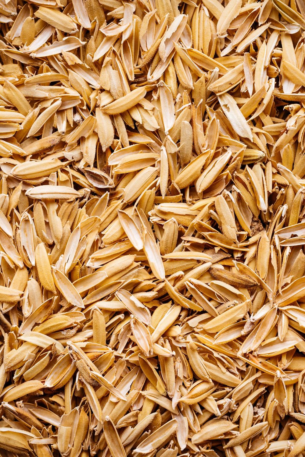 Rice Hulls