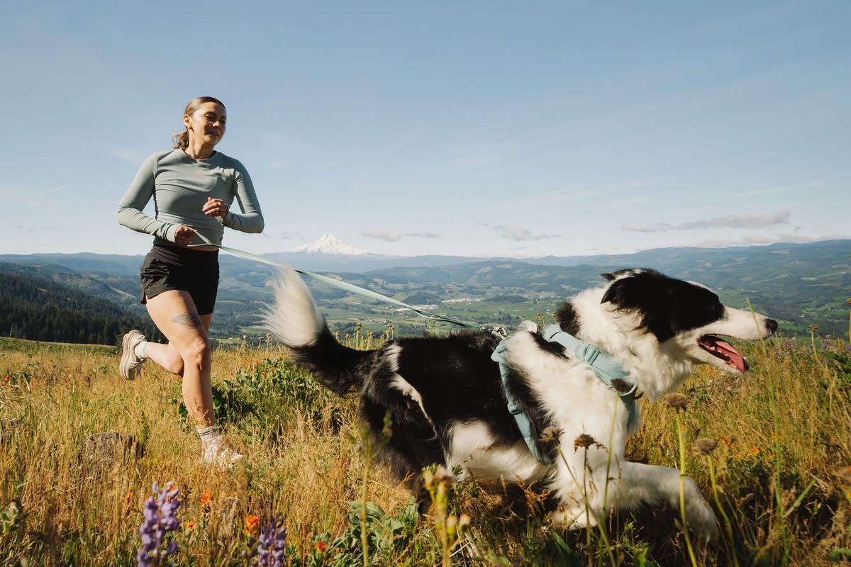 Running with a dog on a mountain trail